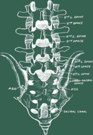 how to treat low back pain